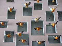 031 Cranbrook Institute of Science [2008 Jan 02]